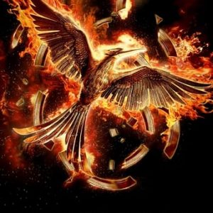 Hunger Games : La révolte, 2ème partie