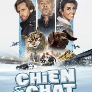 Chien et Chat